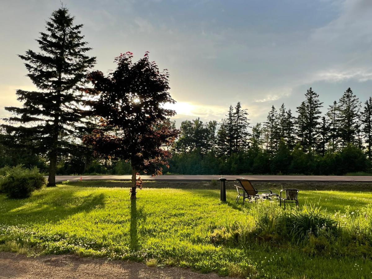 Scenic Motel Moncton Exteriér fotografie